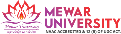 Mewar University